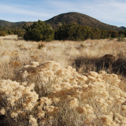 Santa Fe, New Mexico | Photography by Jenny S.W. Lee