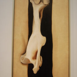 Georgia O’Keeffe Museum